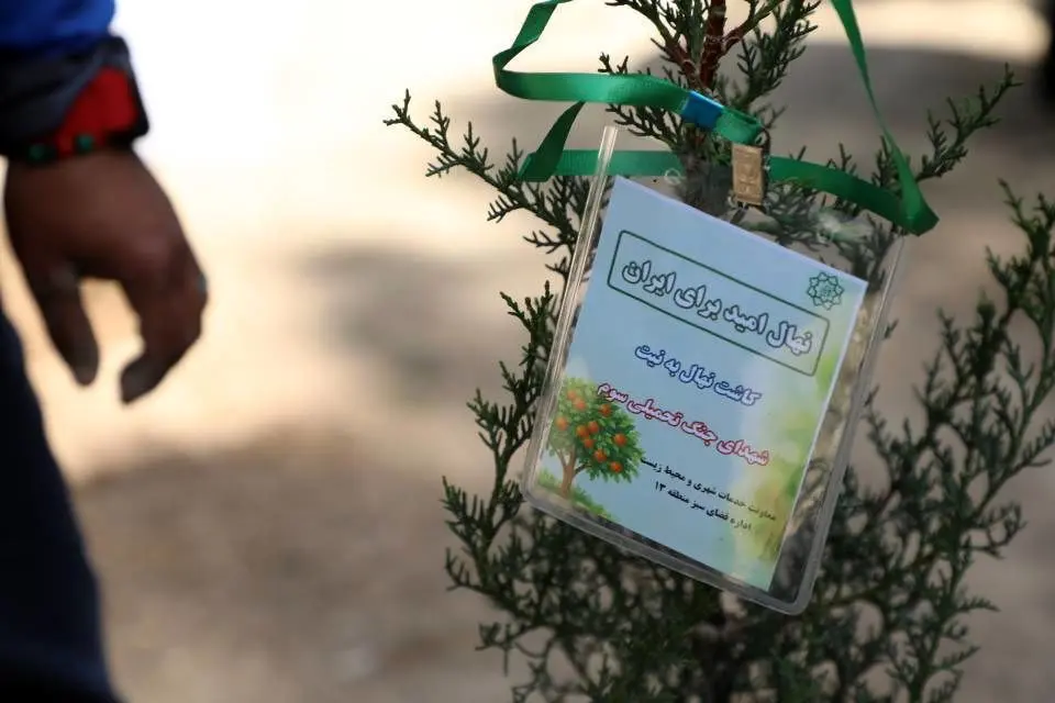 بیش از ۲۰۰۰ اصله نهال در منطقه۱۳ کاشته شد