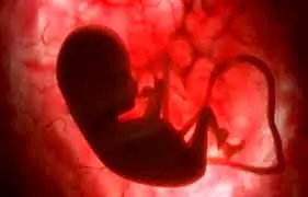 
چرا جنین باید در رحم مادر حرکت کند؟
