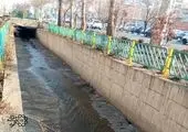 اجرای طرح «تهرون‌گردی» در منطقه ۱۳ در ادامه پویش «تهران دوست‌داشتنی»

