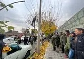 گشت موتوری ویژه چهارشنبه آخر سال در بوستان های جنگلی غرب تهران
