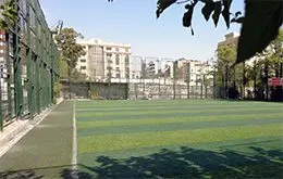محله ستارخان صاحب زمین ورزشی می شود

