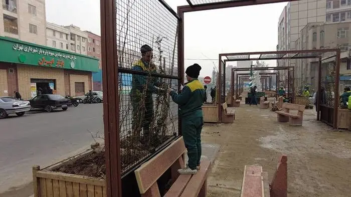 بهار امسال، بوی گل‌های معطر در محله ایران می‌پیچد