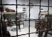 گفت‌وگوی «صبح» پرس تی‌وی با مستندساز لبنانی 

