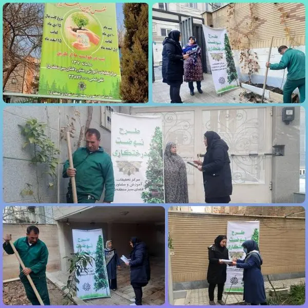 کاشت8 هزار نهال  مثمر و غیر مثمر در حیاط منازل  و سطح منطقه 15