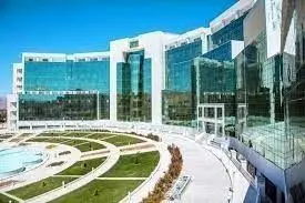 مهم ترین قطب پیوند خاورمیانه در «پیوند زندگی»