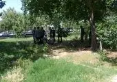 شناسایی و ساماندهی ۴۸۷ نفر بی خانمان، متکدی، معتاد متجاهر و کودک کار در منطقه ۲۱