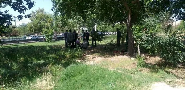 استمرار طرح شناسایی و جذب معتادان متجاهر در منطقه 15