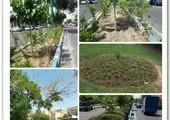 نصب ۷۰ پایه برج نوری در سطح بوستانها و معابر منطقه ۴