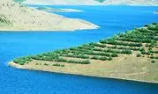 مکالمه رایگان ایرانسل به مناسبت روز کردستان