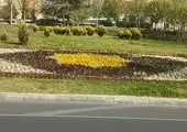 اجرای طرح فرش گل در حاشیه بزرگراه‌های منطقه22