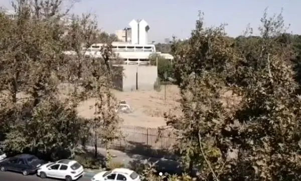 هیچ درختی غیرقانونی قطع نشده است