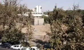 هیچ درختی غیرقانونی قطع نشده است