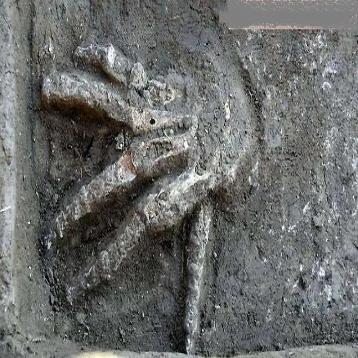 کشف جای دست غول ها +عکس