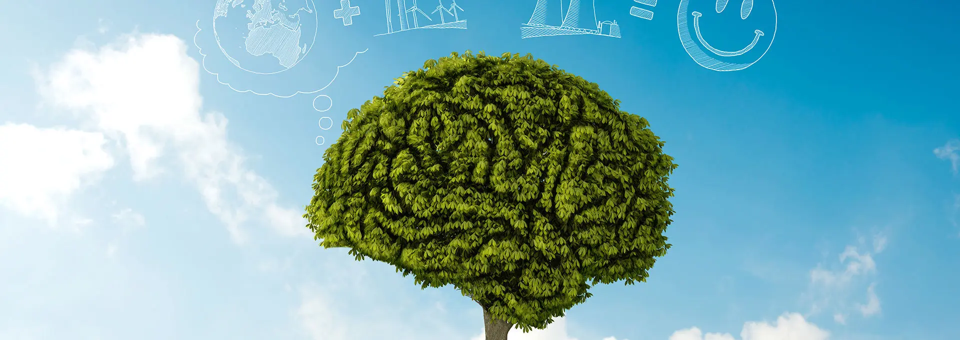 چگونه بهترین دکتر روانشناس در تهران را پیدا کنیم؟