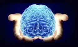 کشف تونل مخفی در مغز انسان+عکس