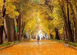 خزان زیبا در چهارباغ زیبا