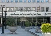 ضرورت ساماندهی معافیت‌های مالیاتی