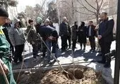 درختکاری با حضور کودکان کم‌توان ذهنی تحت پوشش مؤسسه توانبخشی ولیعصر (عج)

