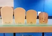 پتروشیمی زاگرس به عنوان شرکت برتر صادرات گرای ایران معرفی شد
