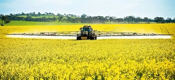 واریز 100 درصدی وجوه خرید تضمینی کلزا توسط بانک کشاورزی
