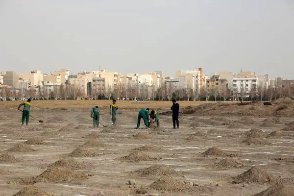 2 هزار اصله نهال به یاد24 هزار شهید  پایتخت در بوستان بزرگ ولایت غرس می شود