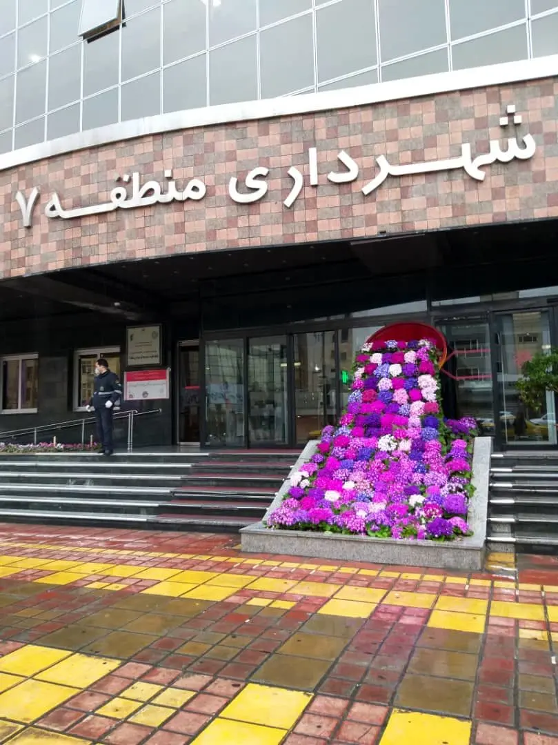 کاشت 18 هزار و 675 اصله نهال در سطح منطقه 7

