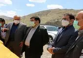 پاسخ سازمان ملی استاندارد ایران به اظهارات نماینده مجلس درباره ذرت آلوده