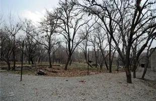 اعلام آمادگی شهرداری منطقه یک پایتخت جهت اجاره و حفظ باغات اوقافی
