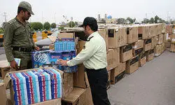 
بازداشت کبوتر قاچاقچی در مرز !+ عکس
