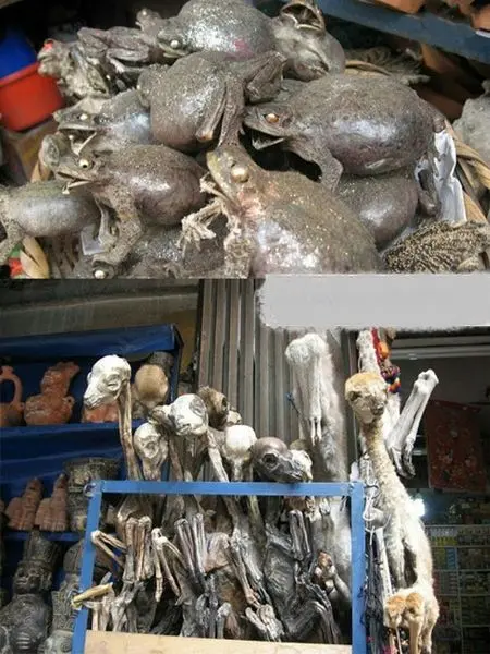 بازار فروش ابزار جادوگری و طلسم+عکس