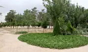 احداث بوستان 15 هزار متری در مسجد مقدس جمکران