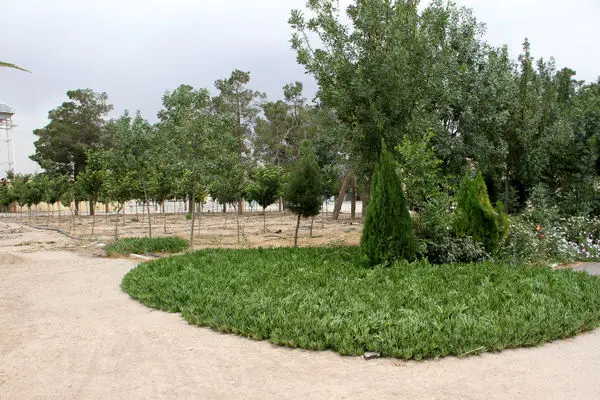 احداث بوستان 15 هزار متری در مسجد مقدس جمکران