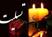 پیام تسلیت مدیرعامل بانک سینا به مناسبت درگذشت مدیرعامل بانک ملت

