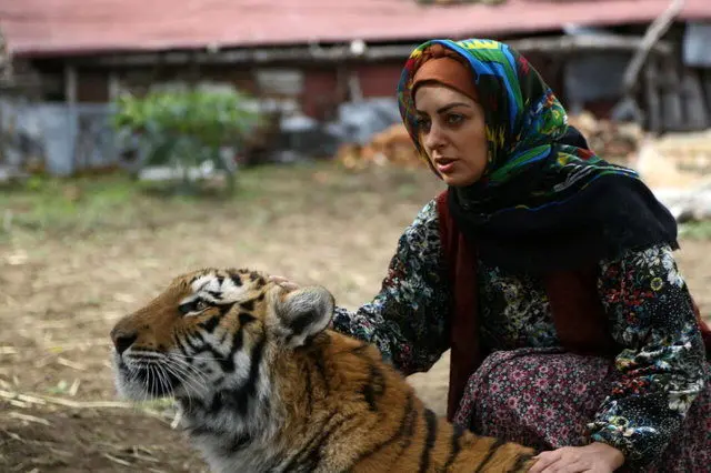 
فیلم‌های شبکه سه بعد از تعطیلات نوروز
