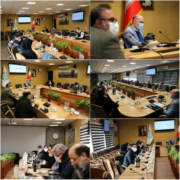 سوگوار عزای فاطمی در قلب پایتخت