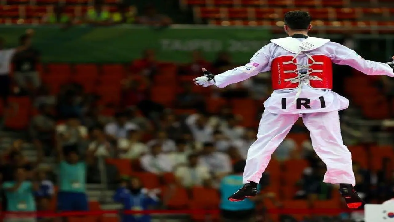 دومین طلای تکواندو بر گردن لطفی