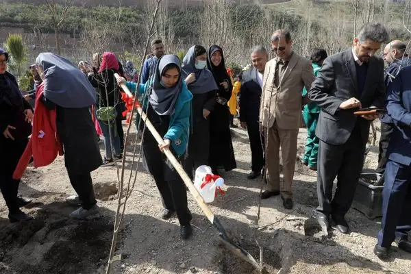 پویش »ایران سر سبز ، ایران قوی « با کاشت 14 هزار اصله نهال اجرا شد