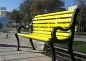 درختان واقع در میدان امام خمینی(ره)، به میدان امام حسن(ع) انتقال داده شدند

