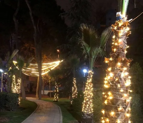 درختان معابر منطقه ۳ تهران نورپردازی شد