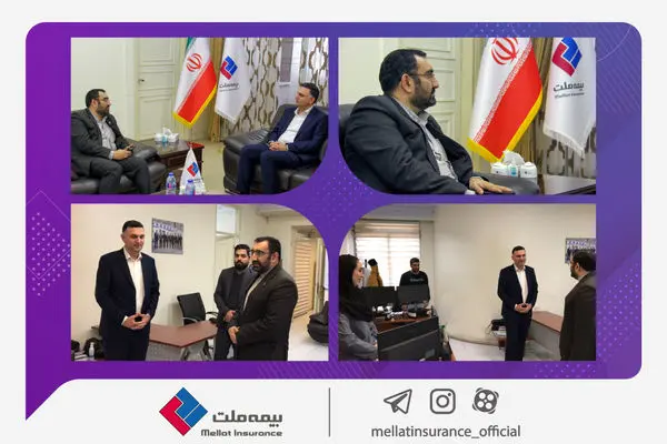 رئوفی: استفاده از ظرفیت رسانهها برای ارتقای جایگاه صنعت بیمه ضروری است