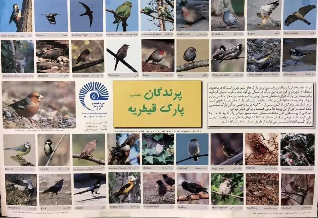 نانوایی دوستدار محیط زیست در شمال تهران افتتاح شد

