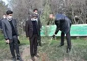 ‍  آسمان چتری آرژانتین در قلب تهران 

