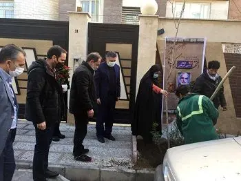 اجرای نهضت درختکاری در منطقه 2 با کاشت 8700 نهال 