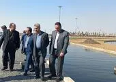 تولیدات محصولات کشاورزی کشور ۱۰۰ میلیون تن افزایش یافت

