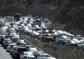
با بطری نوشابه چه کارهایی می‌توان کرد؟ + عکس

