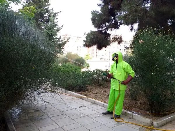 آفات  درختان منطقه ۲ کنترل می شود