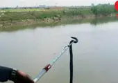 خانه دانشجویی شوکه کننده در بیابان+عکس