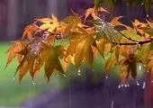 230دستگاه کنتور هوشمند روی چاه‌های آب کشاورزی استان مرکزی نصب شد


