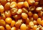 تعطیلی کلیه اماکن سیاحتی و زیارتی برای کنترل کرونا