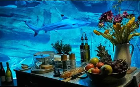 با شگفت‌ انگیزترین اتاق خواب دنیا آشنا شوید +تصاویر